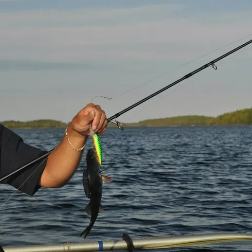 Ловля рыбы с лодки на спокойном водоёме в районе лесистого берега в ясный солнечный день