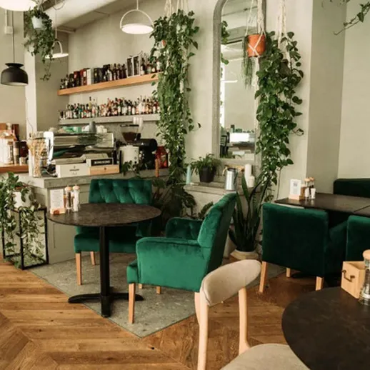 Уютная кофейня с зелеными растениями, современным дизайном и атмосферой творчества в центре города