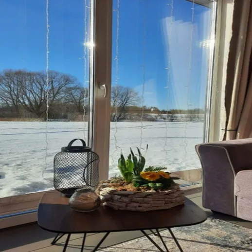 Уютная гостиная с весенним букетом и зимним пейзажем за окном в солнечный день