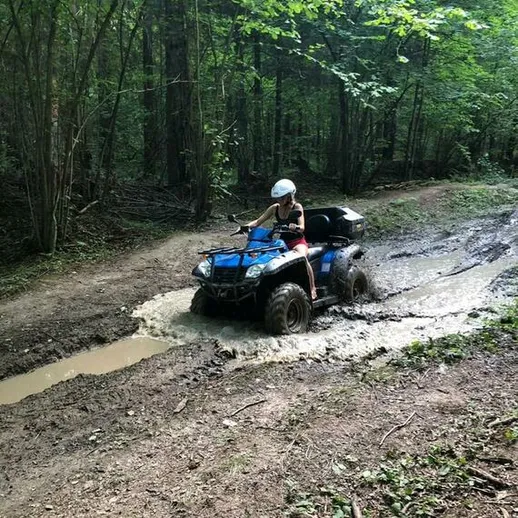 Квадроцикл пересекает грязной тропой в лесу летом среди зелёных деревьев