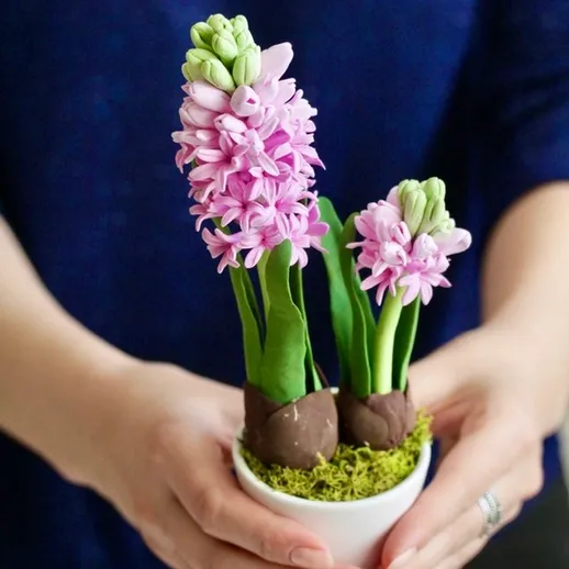 Цветочные композиции в горшке: хиацинты с шоколадной основой для весеннего оформления интерьера