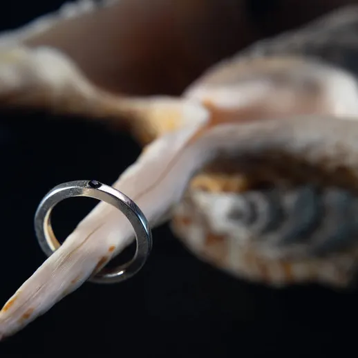 Кольцо на роге оленя в тёмном интерьере с близким планом, созданным для демонстрации деталей