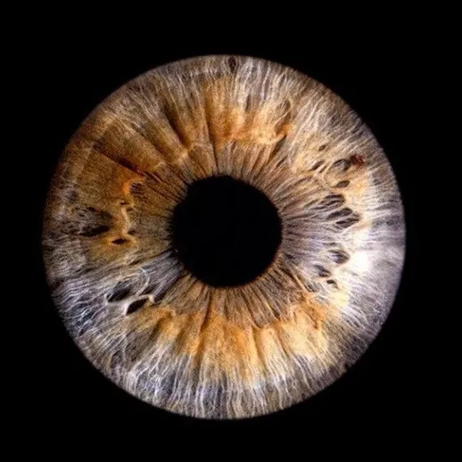 Зрение человека и его уникальные особенности на черном фоне