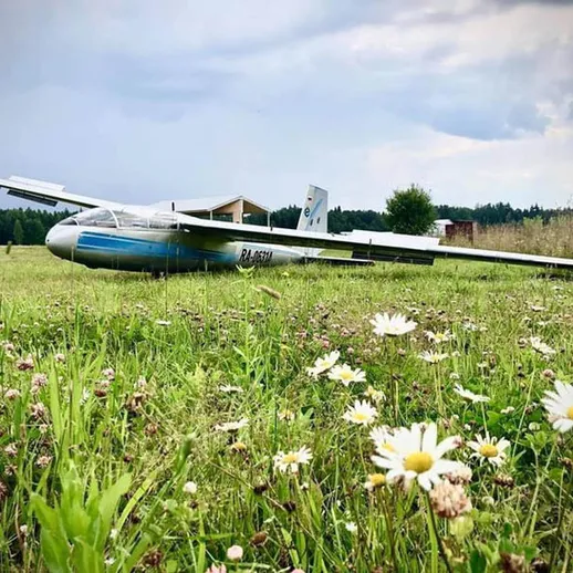 Летательный аппарат на травянистом поле среди цветов в тихом месте в пределах городской черты