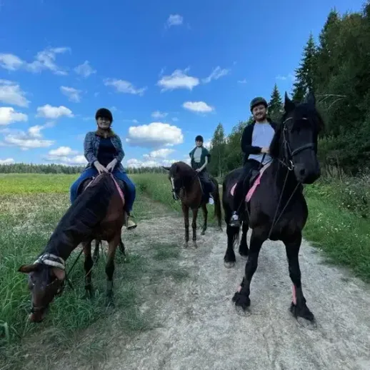 Четыре человека на лошадях в поле под голубым небом, наслаждающиеся прогулкой в солнечный день