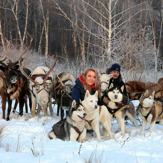 Женщина и дети обучают собак в зимнем лесу с оленями на фоне, в снежную погоду