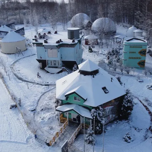 Зимний пейзаж с загородным домом и уникальными зданиями в снежном лесу