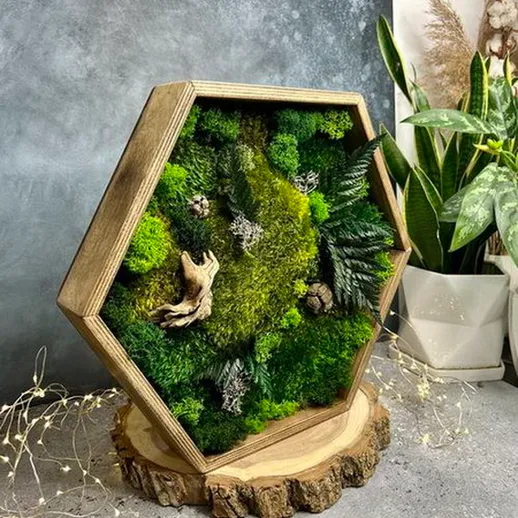 Уникальный моховый террариум в форме шестиугольника на деревянной основе, украшенный растениями и природными элементами