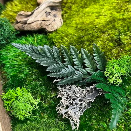 Творение из мха с перьями и древесиной, демонстрирующее гармонию природы в интерьере