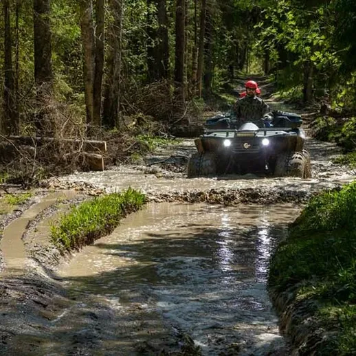 На квадроцикле по грязным тропам леса в солнечный день
