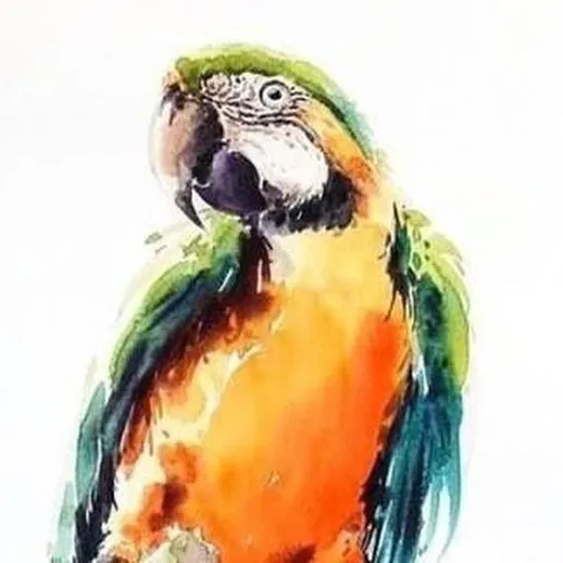 Яркая картина попугая с зелеными и оранжевыми оттенками на белом фоне