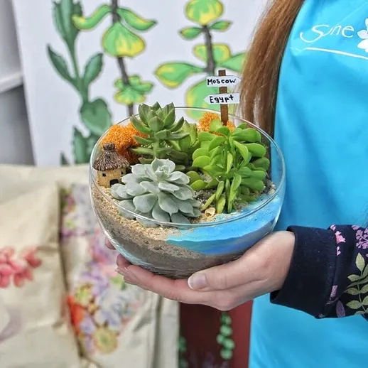 Создание террариума с суккулентами на мастер-классе в московском садовом центре весной 2023 года