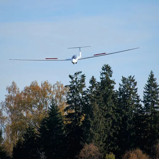 Летящий планер над лесом в ясный день, показан с эффектом низкого полета и природным окружением
