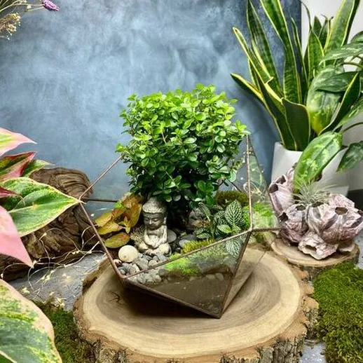 Эстетичное растение в стеклянной вазе на деревянной подставке в интерьере