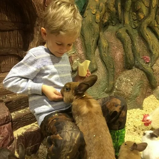 Мальчик кормит кроликов на ферме в зимний день с уютной атмосферой и теплыми эмоциями