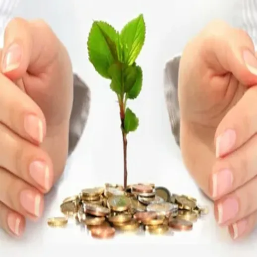 Растение на монетах в руках человека, символизирующее рост инвестиций и финансового благополучия