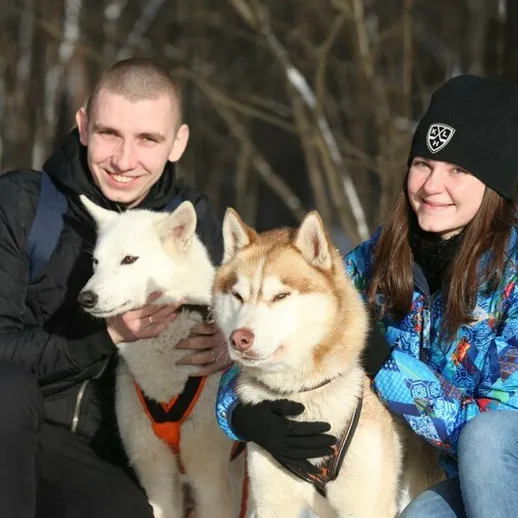 Друзья на прогулке с хаски в зимнем лесу, солнечный день, снежный пейзаж, счастья полный момент