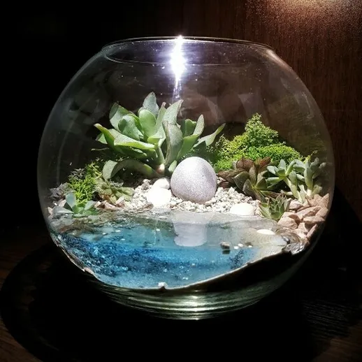 Стеклянный террариум с суккулентами, камнями и искусственным водоемом с отражением света