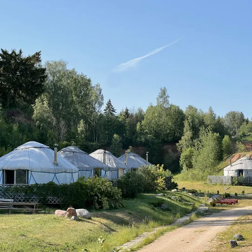 Уютные юрты на природе, окружённые зеленью, расположенные недалеко от леса в солнечный день