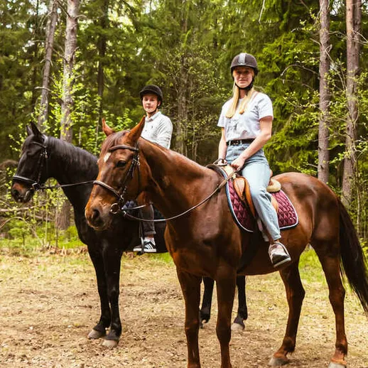 Летняя прогулка на лошадях по лесу с друзьями, наслаждаясь природой и свежим воздухом Летняя прогулка на лошадях по лесу с друзьями, наслаждаясь природой и свежим воздухом