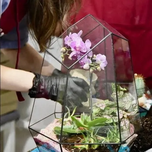 Создание красивого террариума с орхидеями и суккулентами в мастерской по дизайну растений