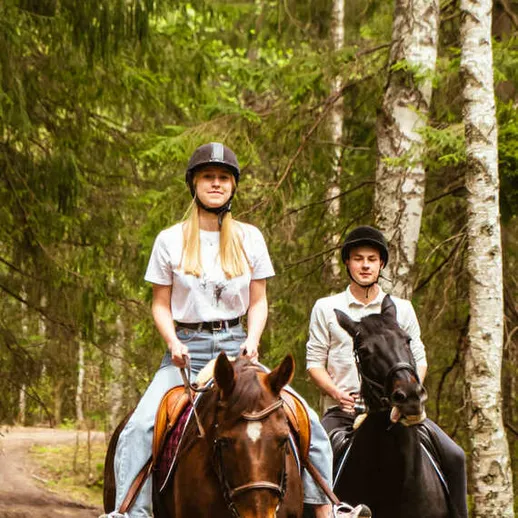 Прогулка верхом на лошадях по живописному лесу в теплый летний день Прогулка верхом на лошадях по живописному лесу в теплый летний день