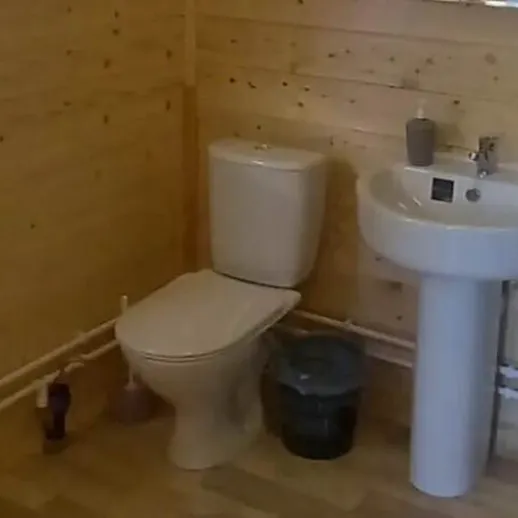 Уютная ванная комната с деревянной отделкой и современными удобствами в загородном доме