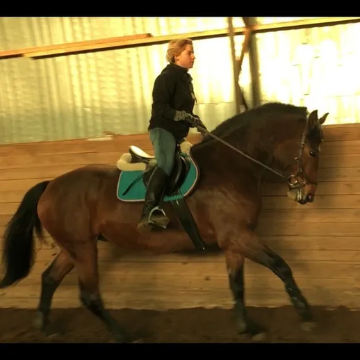 Женщина тренируется верхом на лошади в манеже конного клуба в зимний день