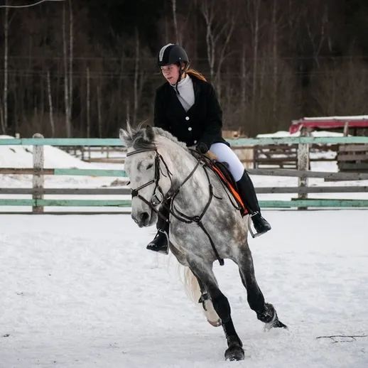 Верховая езда на сером жеребце в зимнем манеже в России