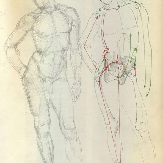 Изучение анатомии человеческого тела в рисунке с образцом скелета и мускулатуры
