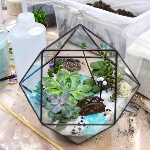 Мини-сады в стеклянных контейнерах: создание террариума с суккулентами и декоративными элементами