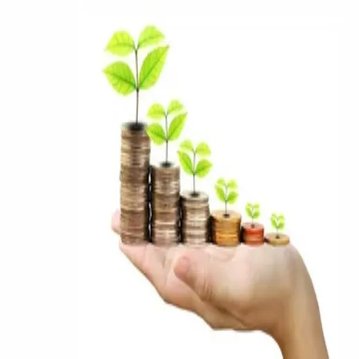 Рост инвестиций и устойчивое развитие в финансах через экологические инициативы
