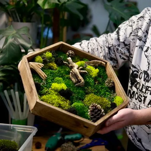 Создание мини-садика из мха в деревянной рамке на мастер-классе в уютной студии