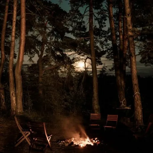 Ночная атмосфера у костра в лесу с видом на лунный свет и деревья