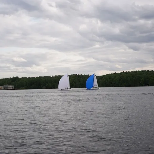 Регата на озере с белыми и синими парусами в облачный день летом