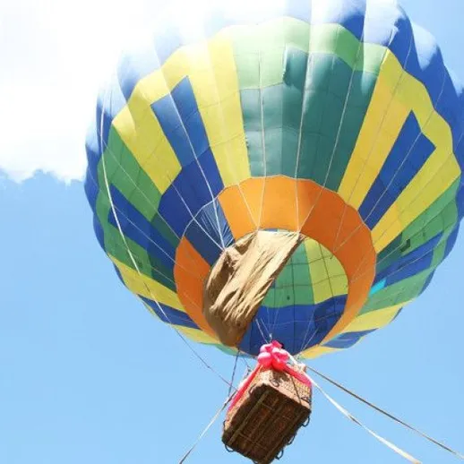 Воздушный шар поднимается над землёй в ясный день