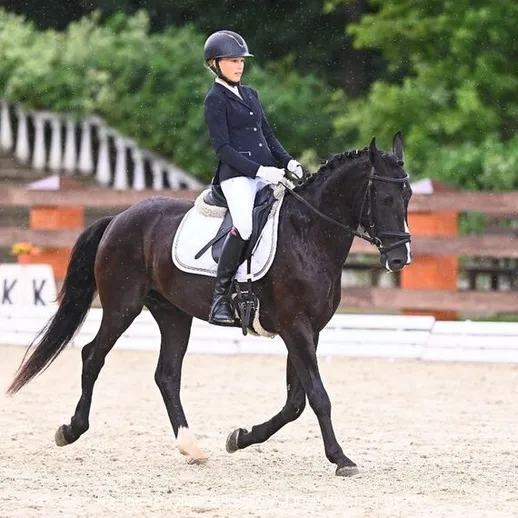 Взрослая женщина выступает на черной лошади на конкуре в дождливую погоду