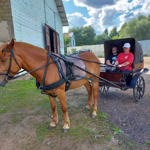 Лошадь тянет повозку с пассажирами в живописной местности на фоне облачного неба