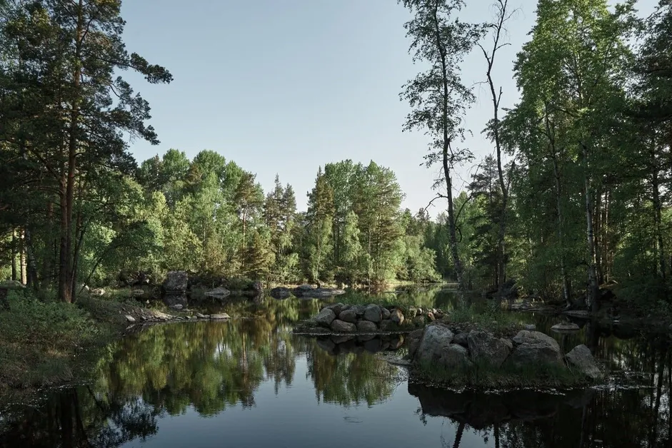 Эко Клуб "Остров Suoja" - Фото 5