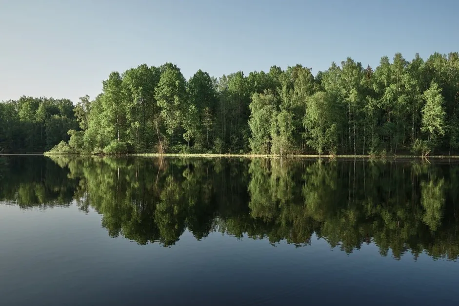 Эко Клуб "Остров Suoja" - Фото 6
