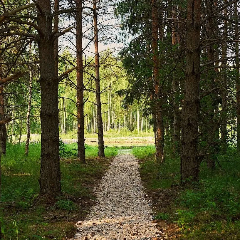 Домик в соснах - Фото 18