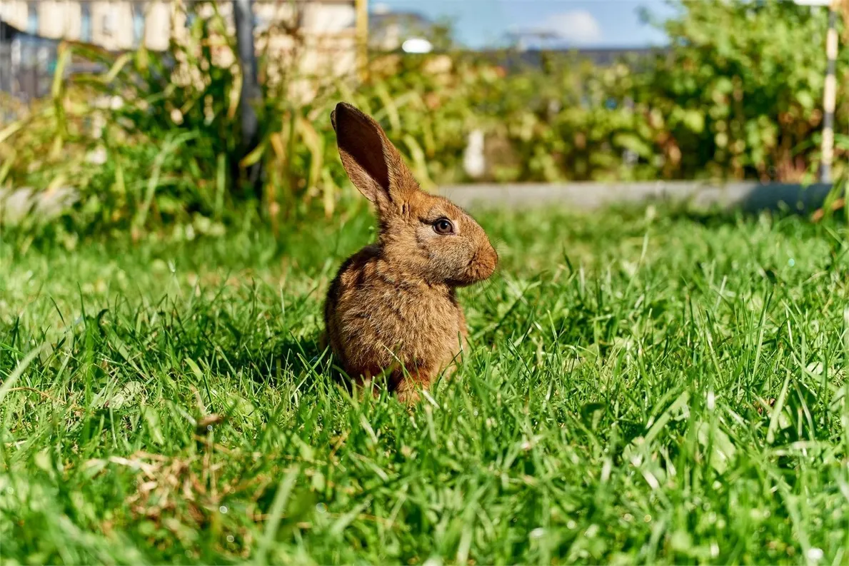 Vnukovo Village Park Hotel&Spa4* - Фото 41