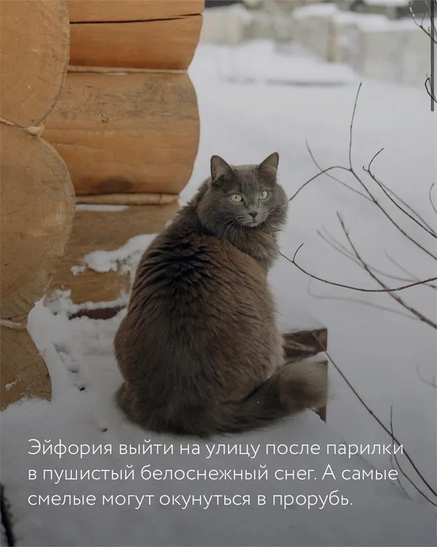 Белый Берег - Фото 20