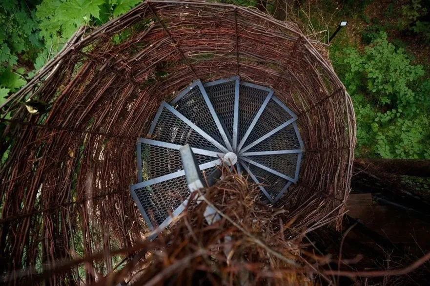 Дом Гнездо на дереве Загородный клуб Утрау - Фото 6