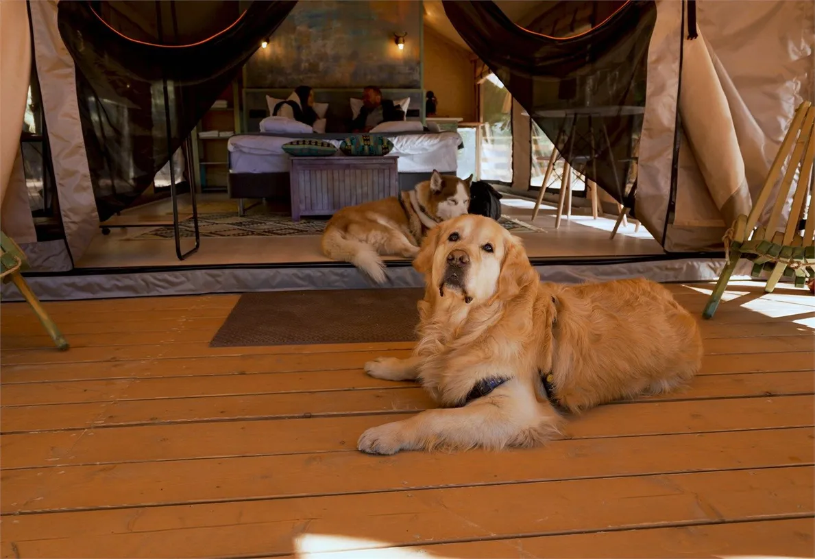 Глэмп-отель Террасы - Фото 3