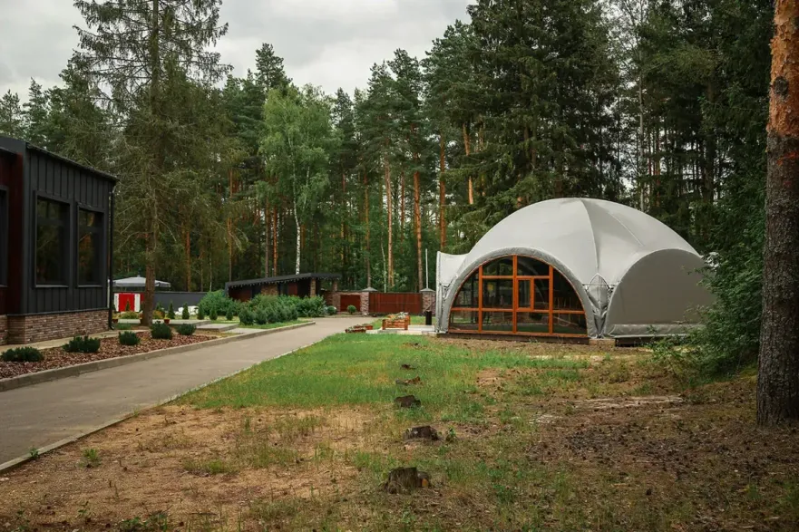 Вино и Сосны - Фото 6