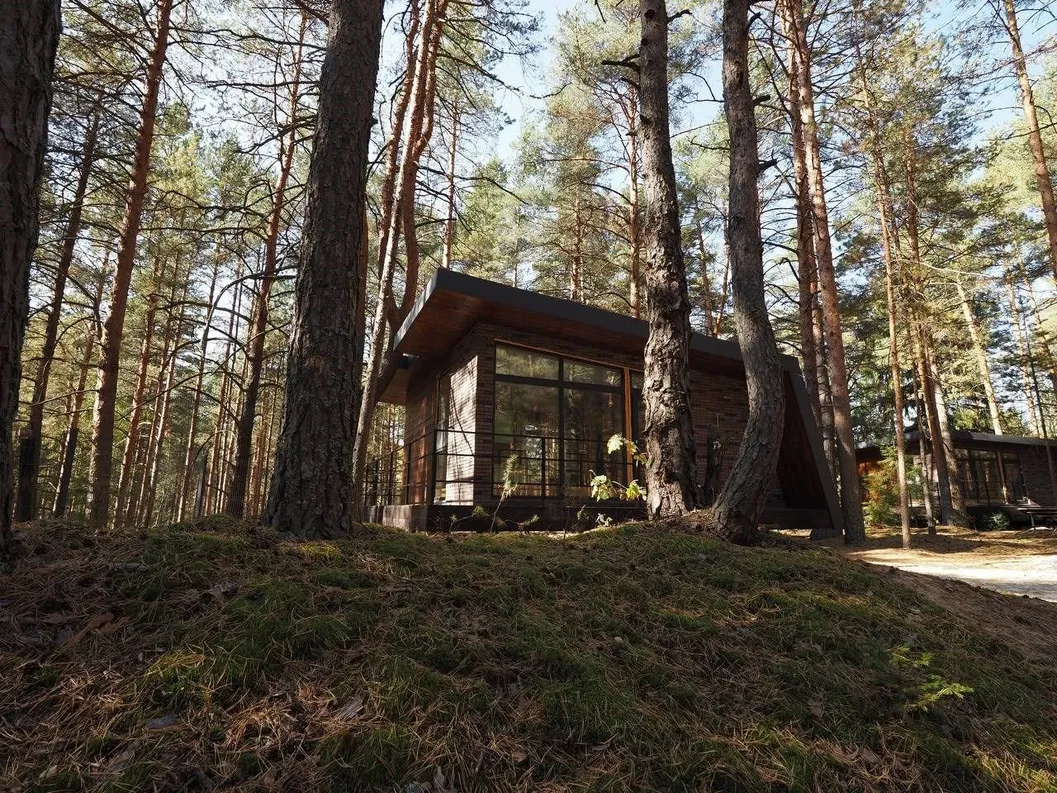 Вино и Сосны - Фото 12