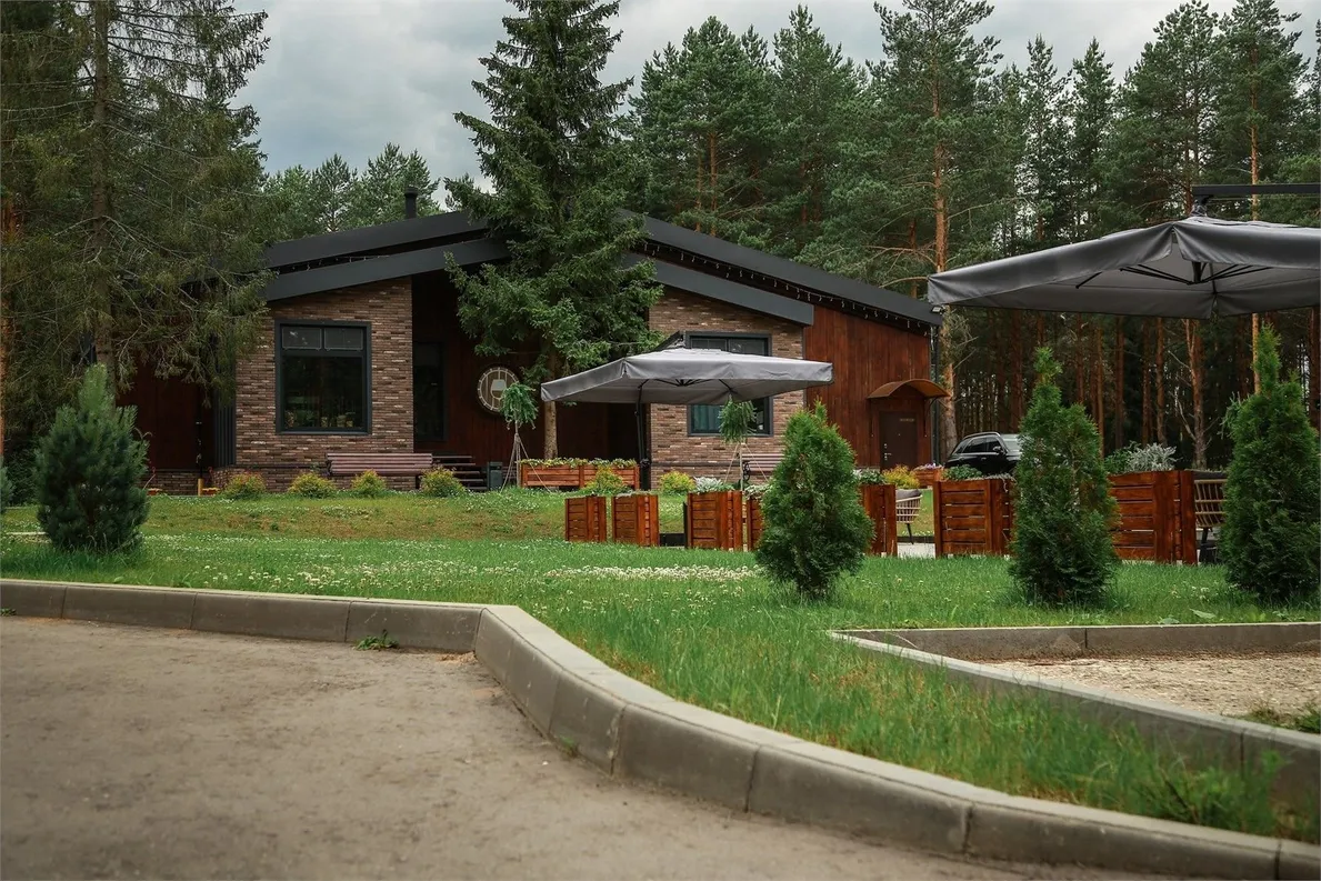 Вино и Сосны - Фото 15