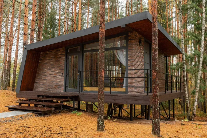 Вино и Сосны - Фото 1