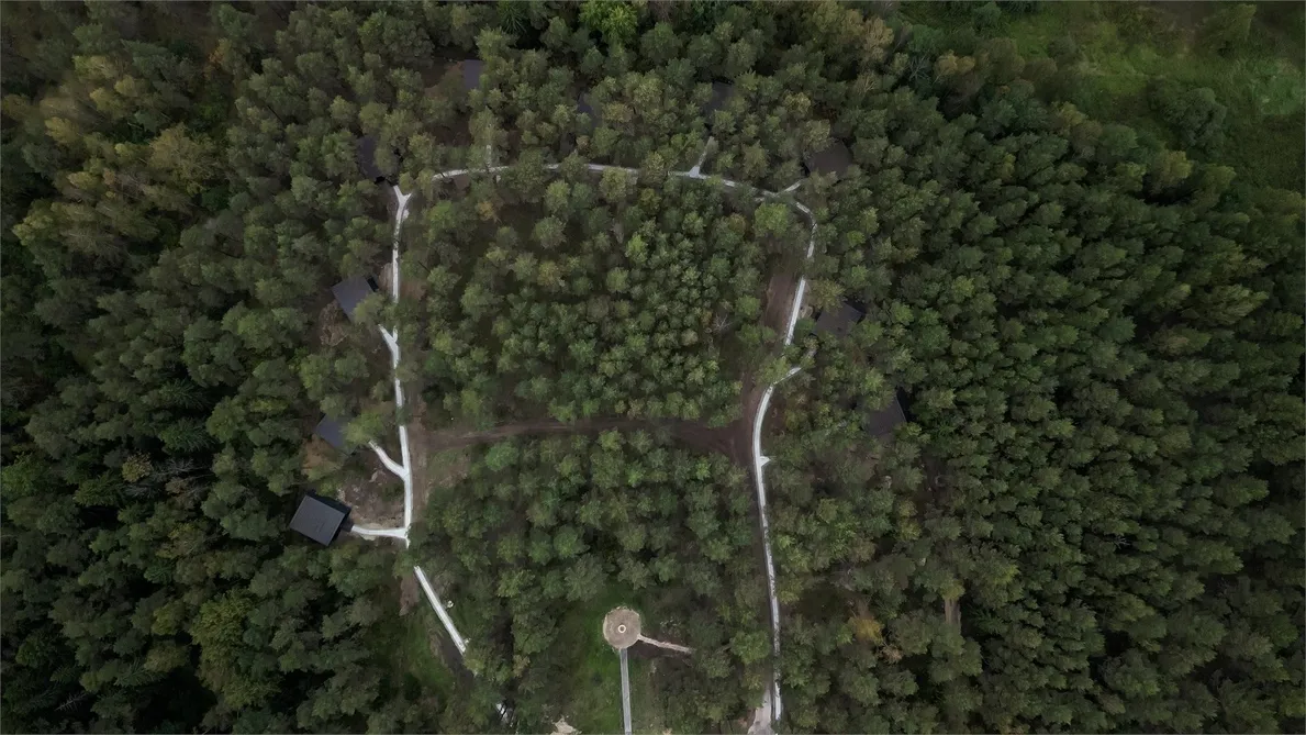 Вино и Сосны - Фото 24